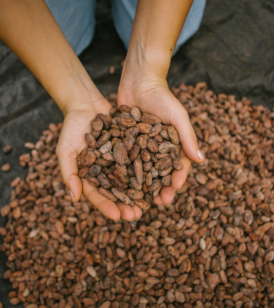 The Art of Roasting with Cacao with Baninder Singh (Savorworks)