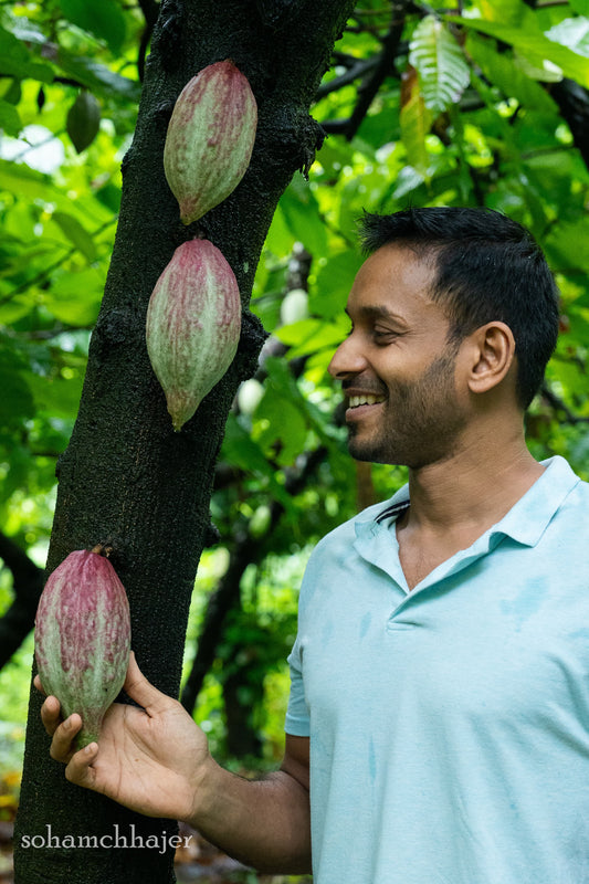 Cacao Cultivation & Fermentation Essentials with Varanashi Farms and Terra Chocolates