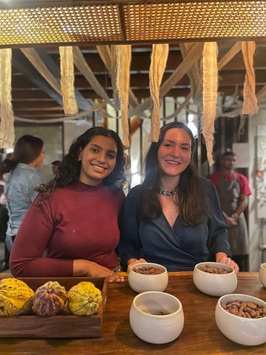 Make Craft Chocolate at Home !