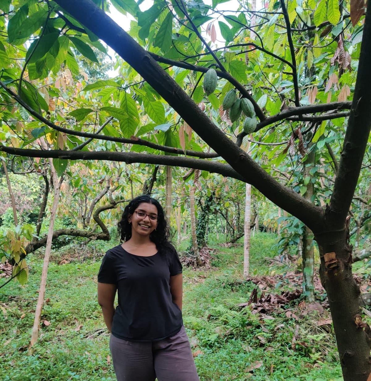 Cacao Cultivation & Fermentation Essentials with Varanashi Farms and Terra Chocolates