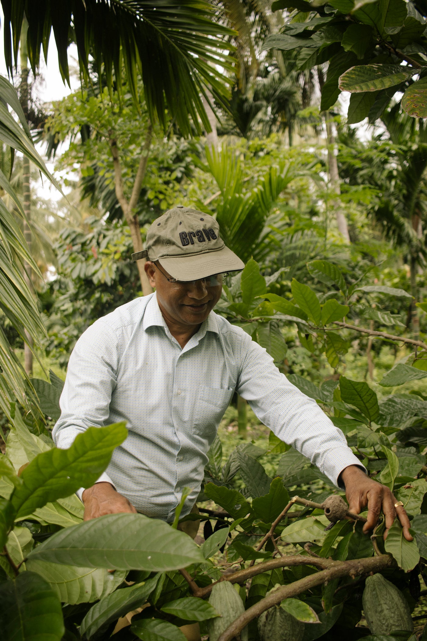 The Origin Trail: Curated Cacao Farm Tour