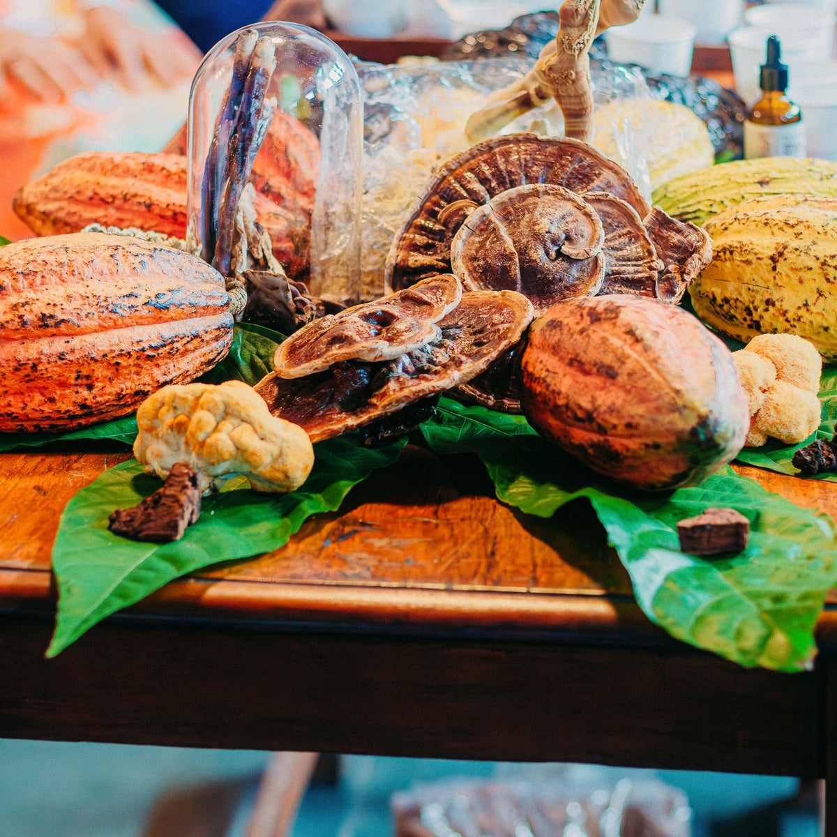 Indian Cacao Ceremony: Breathwork + Reishi (Ujjayi Movement Studio & Nuvedo)